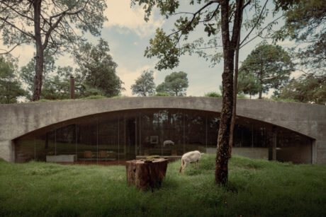 The House on the Hill explores how HW Studio's design blends nature, materials, and contemplation in Mexico.