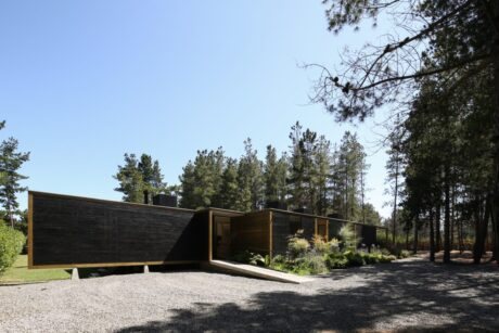 CasaDèsvu in Chile blends architecture with nature, harmonizing family life within lush, forested landscapes.