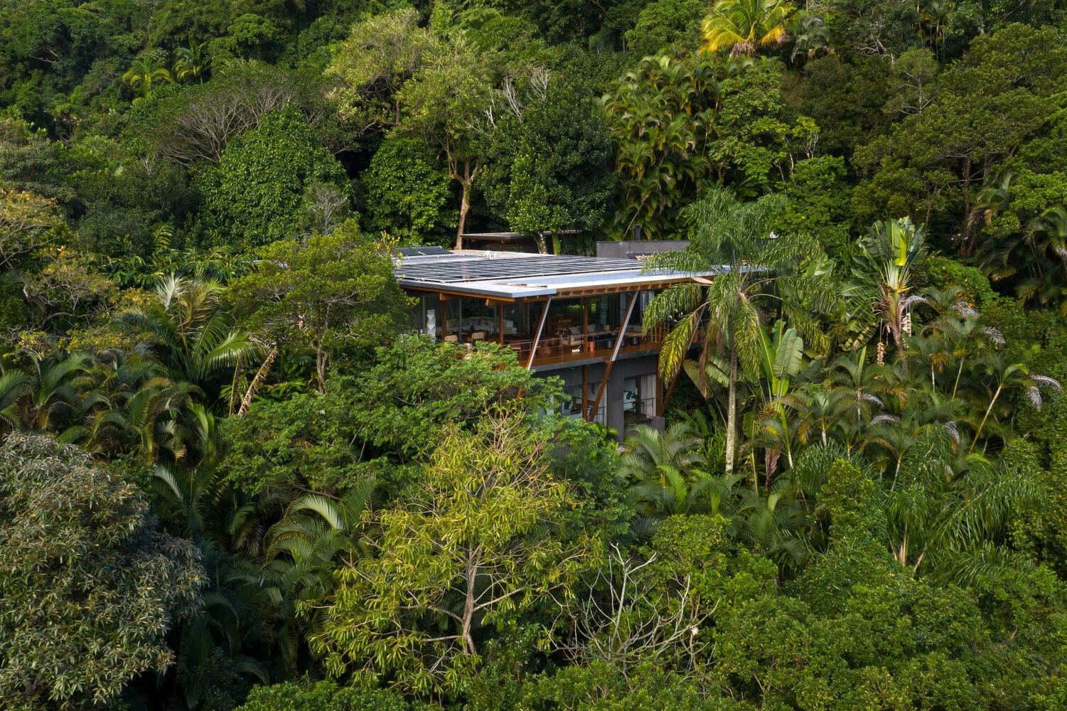 Beach house surrounded by the Atlantic Forest on the coast of São Paulo.